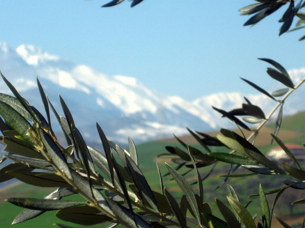 Agriturismo Cignale Penne Kültér fotó