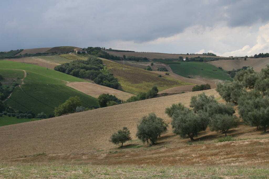 Agriturismo Cignale Penne Kültér fotó