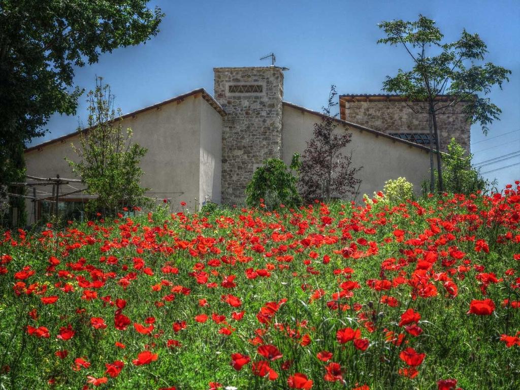 Agriturismo Cignale Penne Kültér fotó