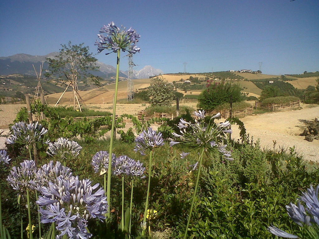Agriturismo Cignale Penne Kültér fotó