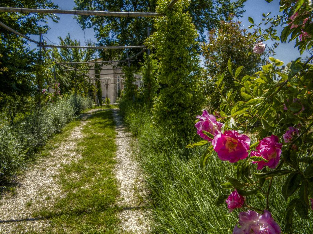 Agriturismo Cignale Penne Kültér fotó