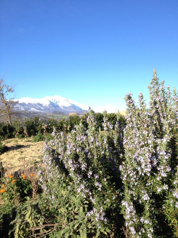 Agriturismo Cignale Penne Kültér fotó