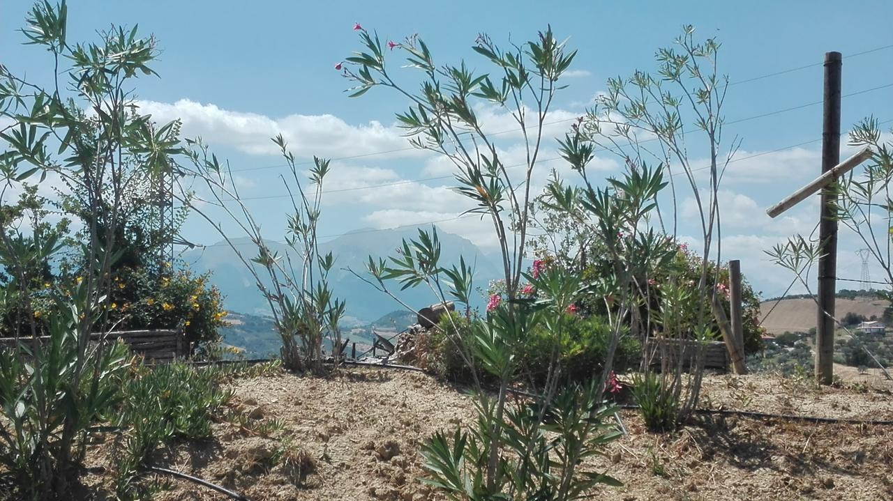Agriturismo Cignale Penne Kültér fotó