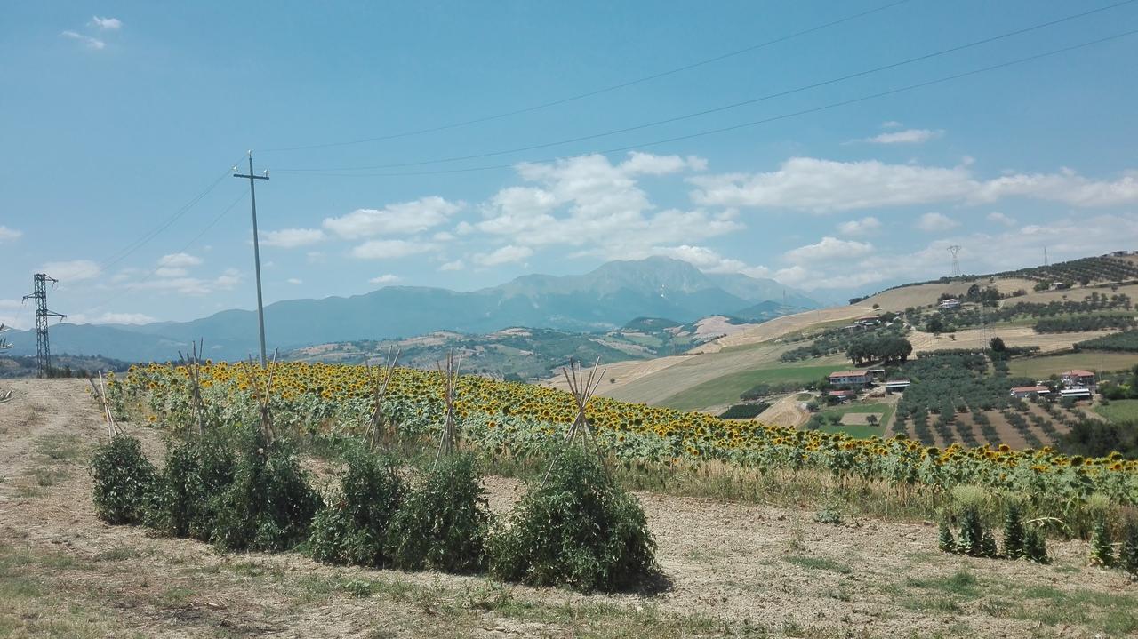 Agriturismo Cignale Penne Kültér fotó