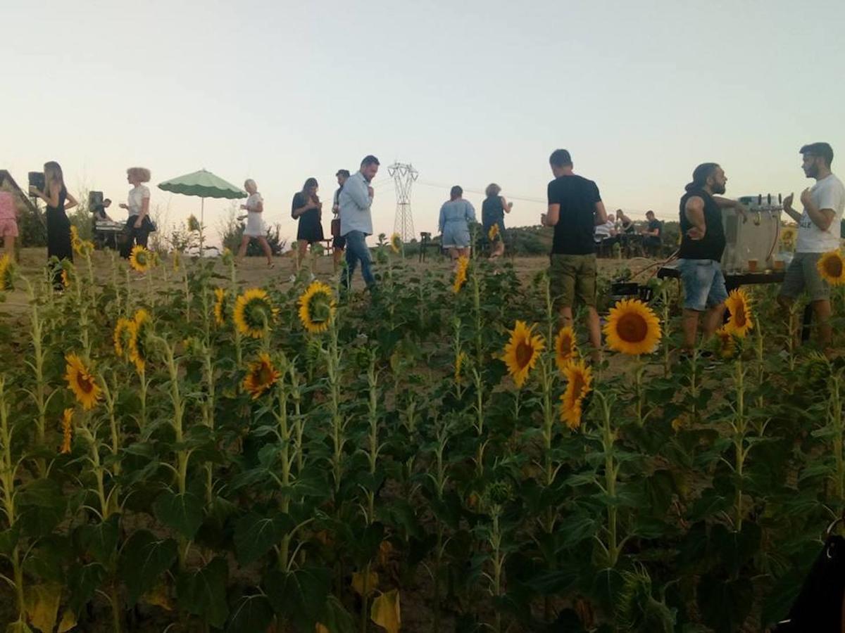 Agriturismo Cignale Penne Kültér fotó