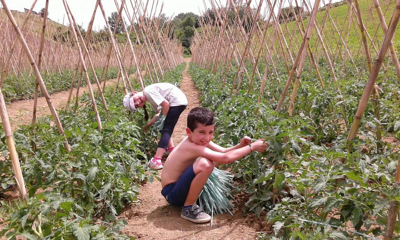 Agriturismo Cignale Penne Kültér fotó